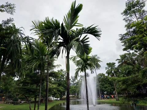 View of park in cloudy sky Stock Photos