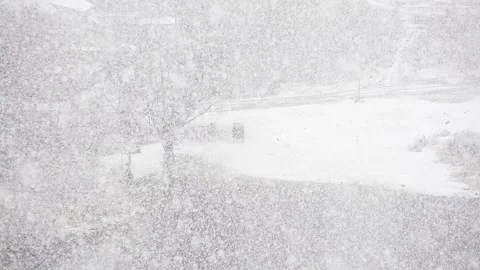 View of the park during heavy snow Stock Footage 143088818