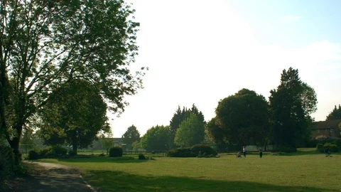 View of Park Stock Footage