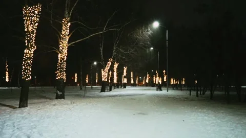 View of the park Stock Footage 163074429