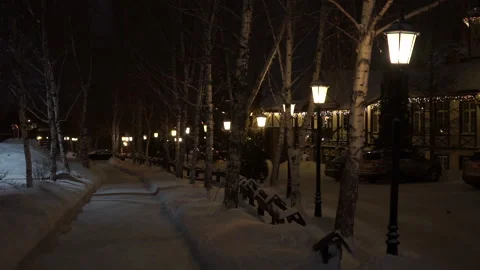 View of the park Stock Footage 167619693