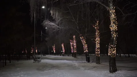 View of the park Stock Footage 167619871