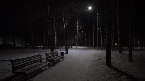 View of the park Stock Footage 167619941