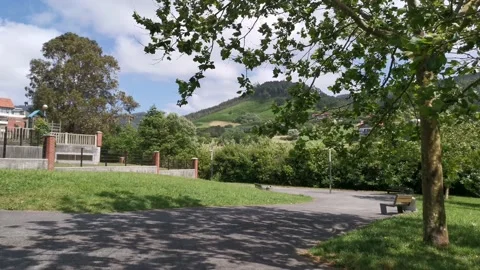 View of a park full of vegetation Video stock 132039814