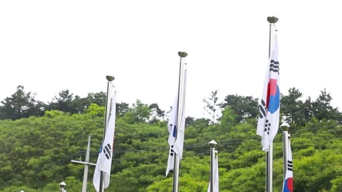View of the park with Korean flag Video stock 303887211