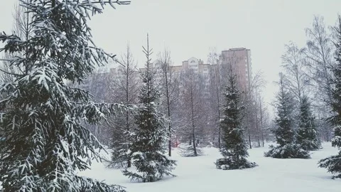 View of the park landscape trees snowfall Stock Footage 326209768