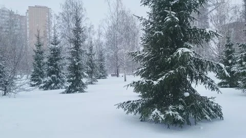 View of the park landscape trees snowfall Stock Footage 326209841
