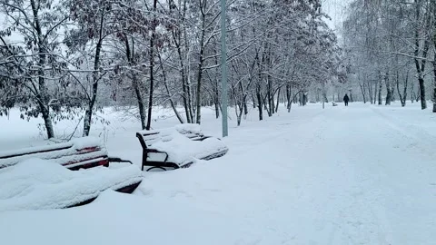 View of the park landscape trees snowfall Stock Footage 326209852