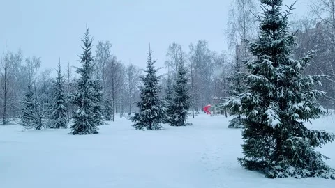 View of the park landscape trees snowfall Stock Footage 326210014