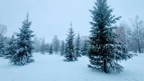 View of the park landscape trees snowfall Stock Footage 326210109