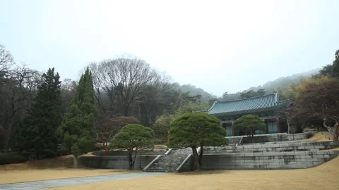 View of the park in the morning Stock Footage 310156598