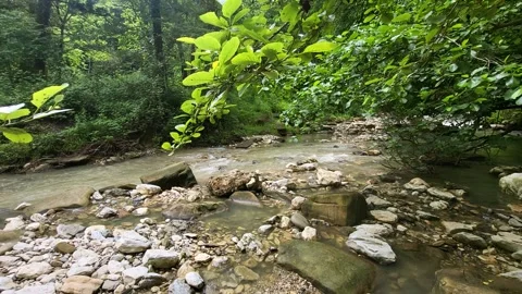 View of the park in the mountains forest landscape Stock Footage 311030186
