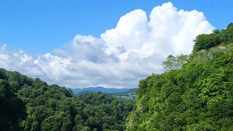 View of the park in the mountains forest landscape Stock Footage 311030425