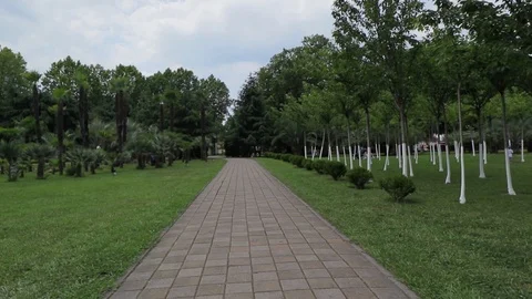 View of the park with palm trees in the center of the city, Sochi, Russia Stock Footage 90774965