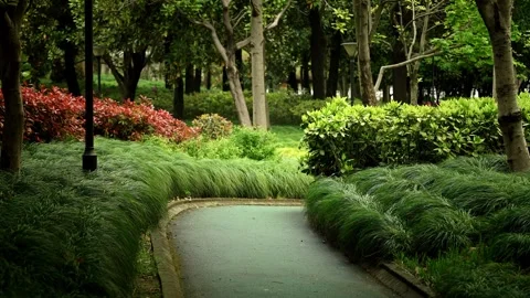 The View of Park Paths Stock Footage 332681718