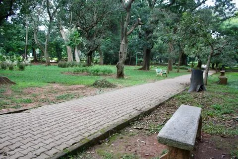 View from a park Stock Photos