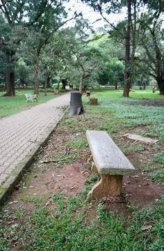 View from a park Stock Photos