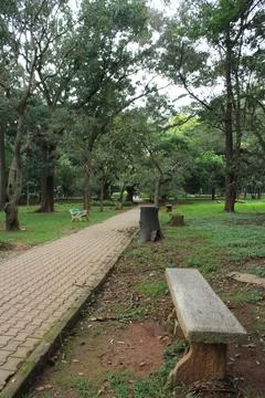 View from a park Foto stock