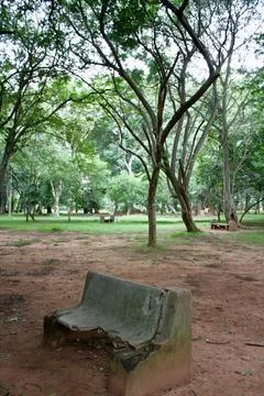 View from a park Stock Photos