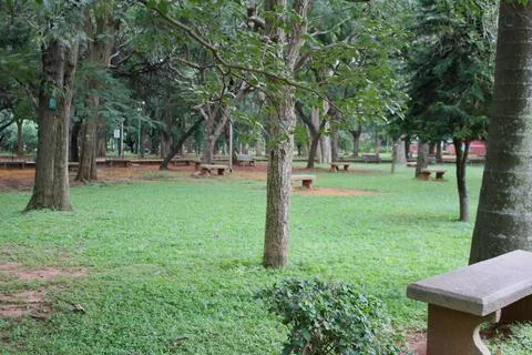View of a park Stock Photos