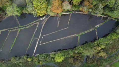 View of the park renovation Stock Footage 253639254
