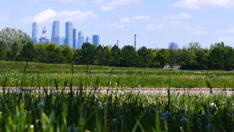 View from the park to the skyscrapers Stock Footage 108943251