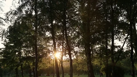 View of the park at sunset in a new area of the city. sun shines through tree br Stock Footage 100241946
