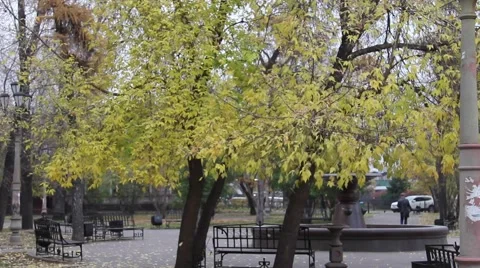 View of the park through the trees. Since trees are falling autumn leaves. Stock Footage 64636172