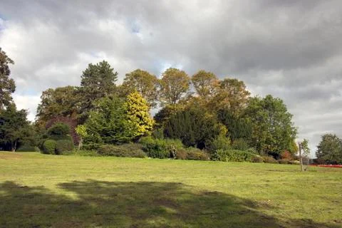 View of park with trees. Stock Photos