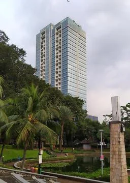 A view of a park, trees with a pond between skyscrapers Stock Photos
