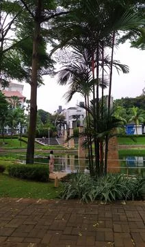 A view of a park, trees with a pond between skyscrapers Stock Photos