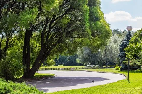 View of the Park with walking paths Stock Photos