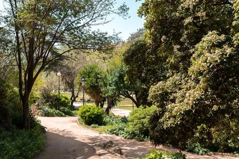 View of park with winding path. Green trees and bushes in the park Stock Photos