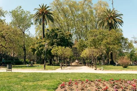 View of park with winding path. Green trees and bushes in the park Stock Photos