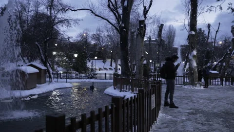 View from the park on a winter night Stock Footage 166457710