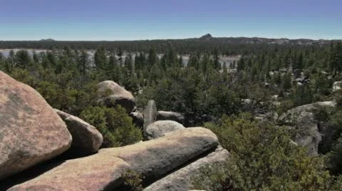 View Of Parque Constitucion 스톡 동영상 10842251