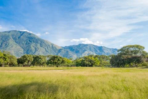 View of Parque del Este with El Avila at the background, Caracas - Venezuela Stock Photos