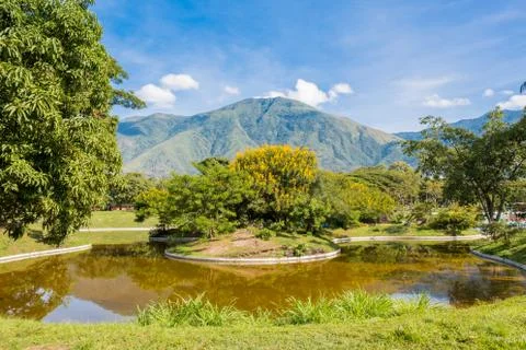 View of Parque del Este with El Avila at the background, Caracas - Venezuela Stock-Fotos