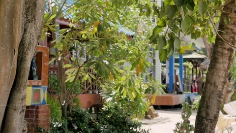 View of a part of the beach with greenery and a tree. houses on the beach Stock-Footage 127151236