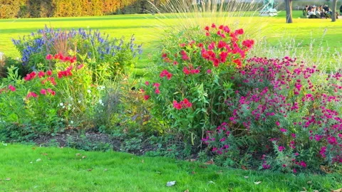 View of the parterre gardens and flower arrangements of the Tuileries garden Видео 337880903