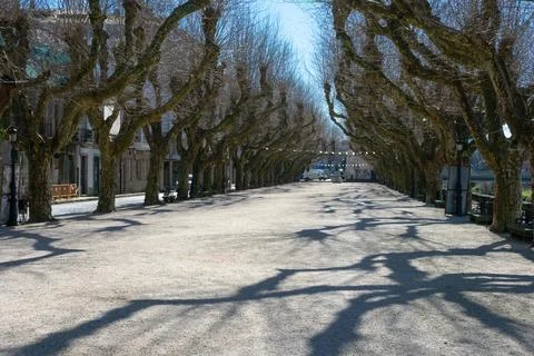 View of Paseo de Espolon Stock Photos