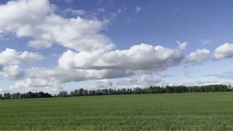 View from a passing car on the road to green trees and a field against a sky. Video stock 214738533
