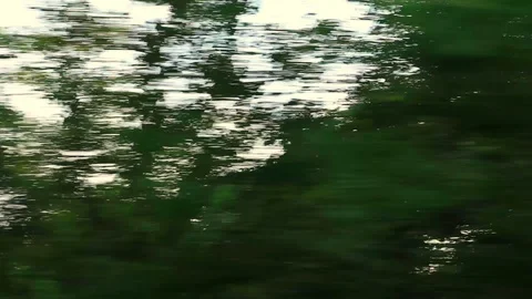 View of passing landscape from a train window Stock Footage 119194025