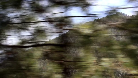 The view from a passing train in the forest belt of the Sivalik range Stock Footage 93736960