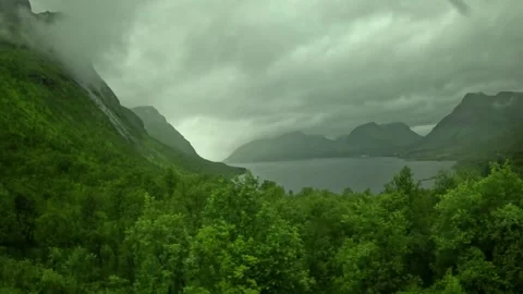 View past treetops overlooking scenic fjord and misty mountains in Senja Norway Stock-Footage 342340370