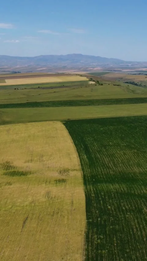 View of patchwork farm fields and distant mountain ridges in Kazakhstan Stock Footage 338128472