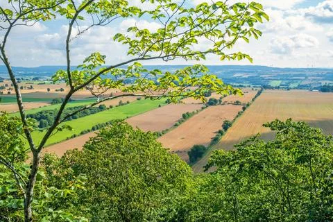 View at a patchwork landscape in a rural area with lush green tree branches 写真素材