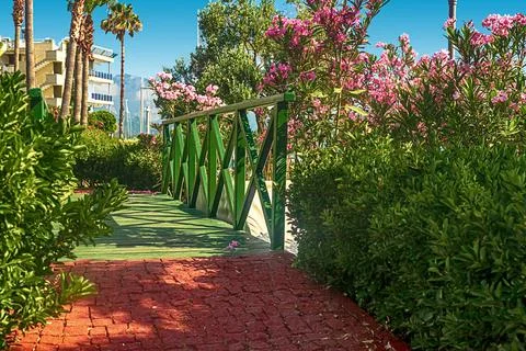 View of the path and the bridge in a green garden with green trees along the Stock-Fotos