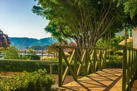 View of the path and the bridge in a green garden with green trees along the Stock Photos