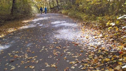 A view of a path with Autumn leaves and trees in a city park. Stock Footage 165264593
